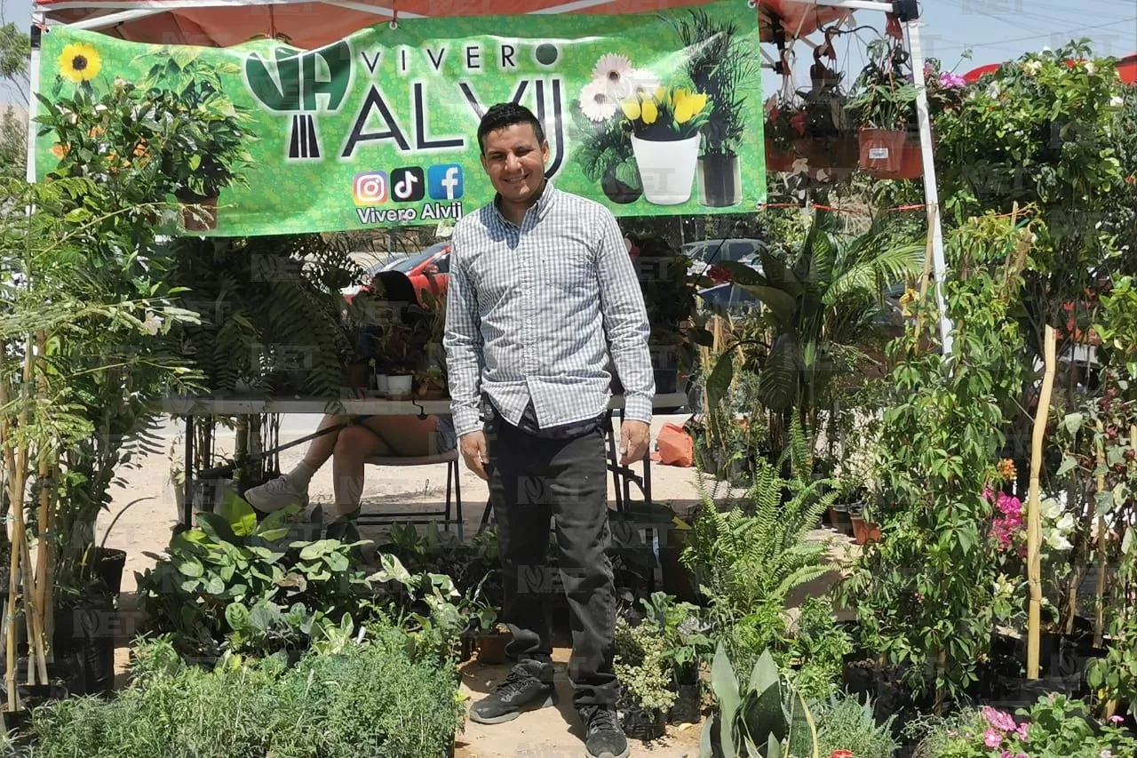 Plantatón 2025 reforestará parque Liras-Los Colorines