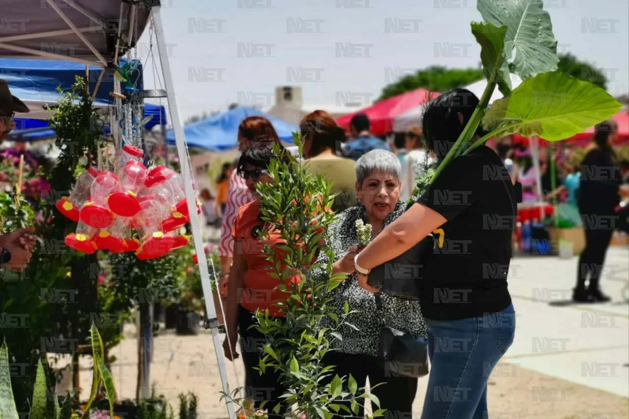Plantatón 2025 reforestará parque Liras-Los Colorines