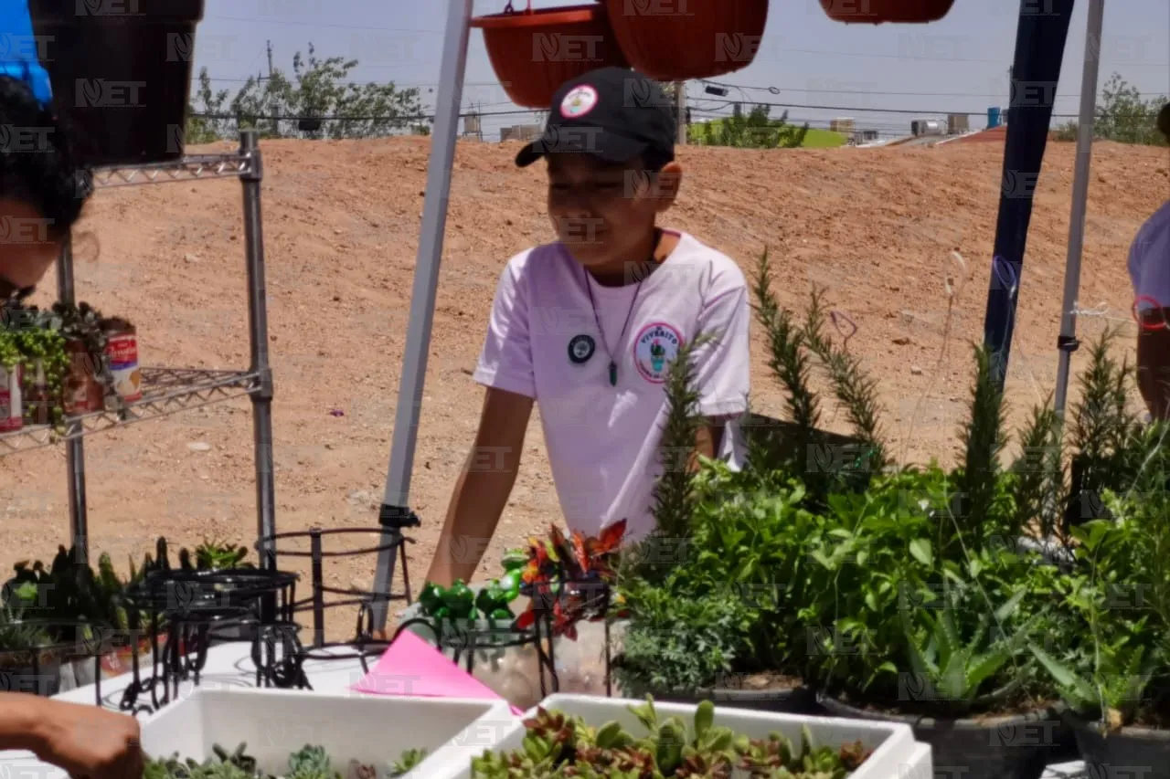 Plantatón 2025 reforestará parque Liras-Los Colorines