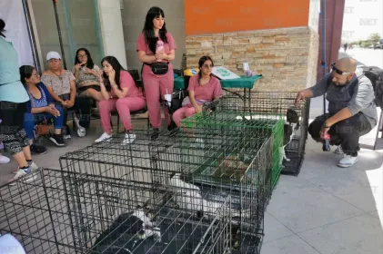Gari promueve la adopción responsable en Gran Patio