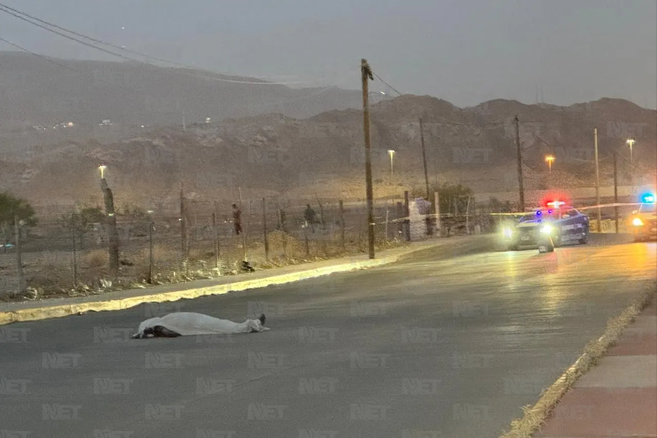 Cae de camión y muere