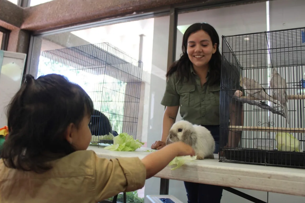 Regresa Bioexperimenta al museo de El Chami