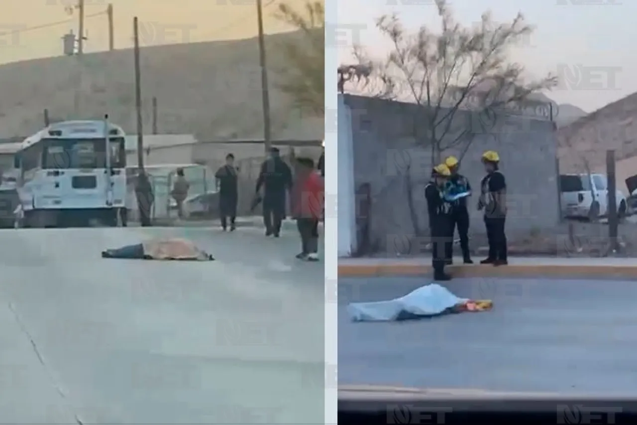 Cae de camión y muere