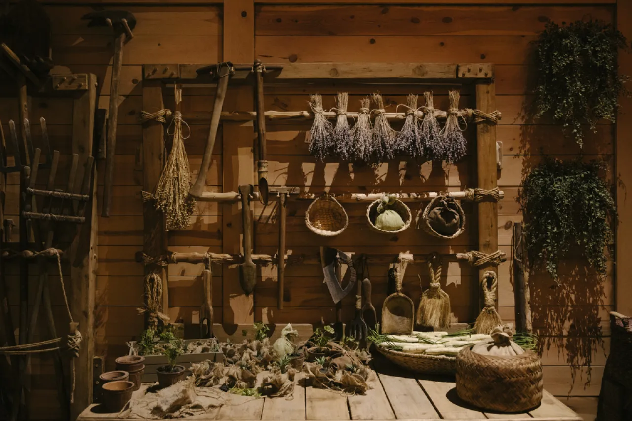 Museo promueve el creacionismo con réplica del Arca de Noé