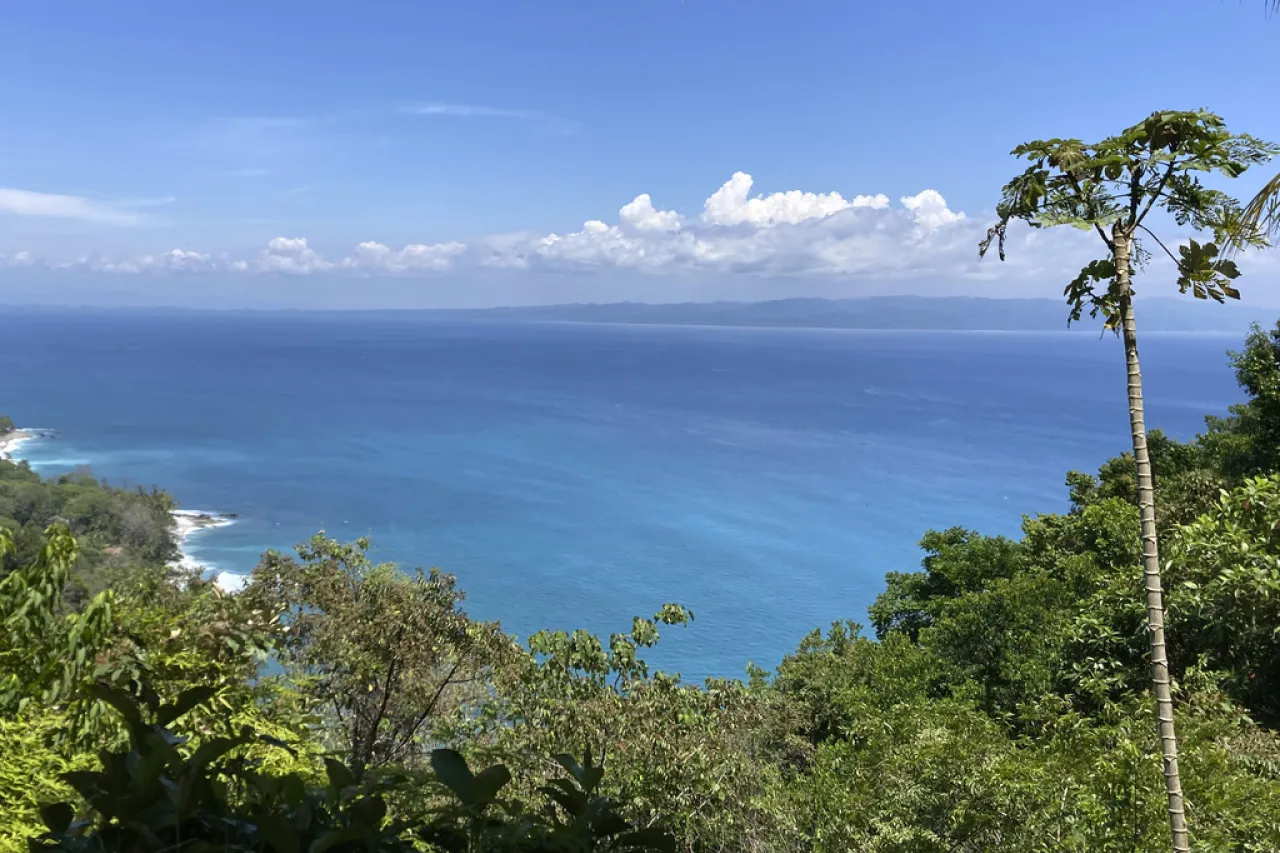 Analiza EU vender concesiones para extraer minerales del lecho marino
