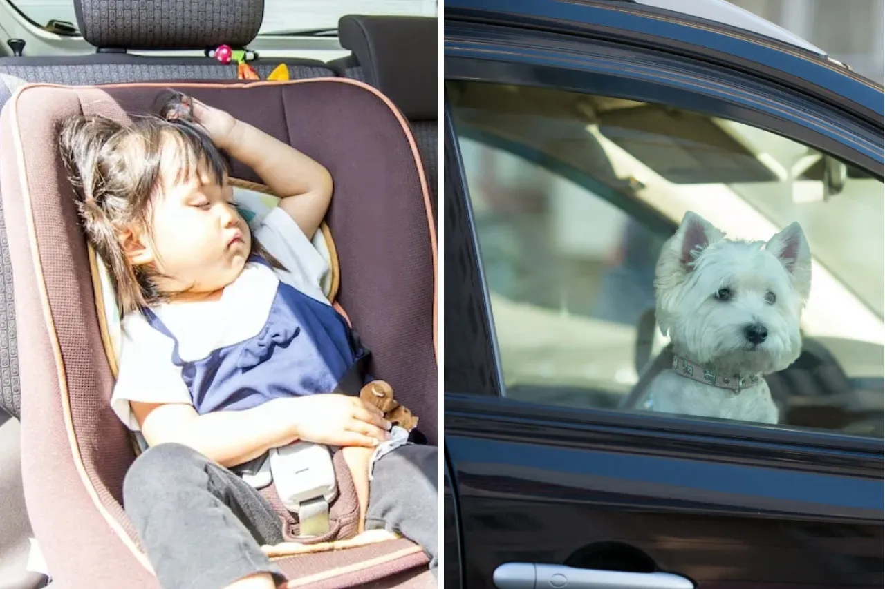Ni por un ratito: peligros de dejar niños o mascotas dentro del auto en verano