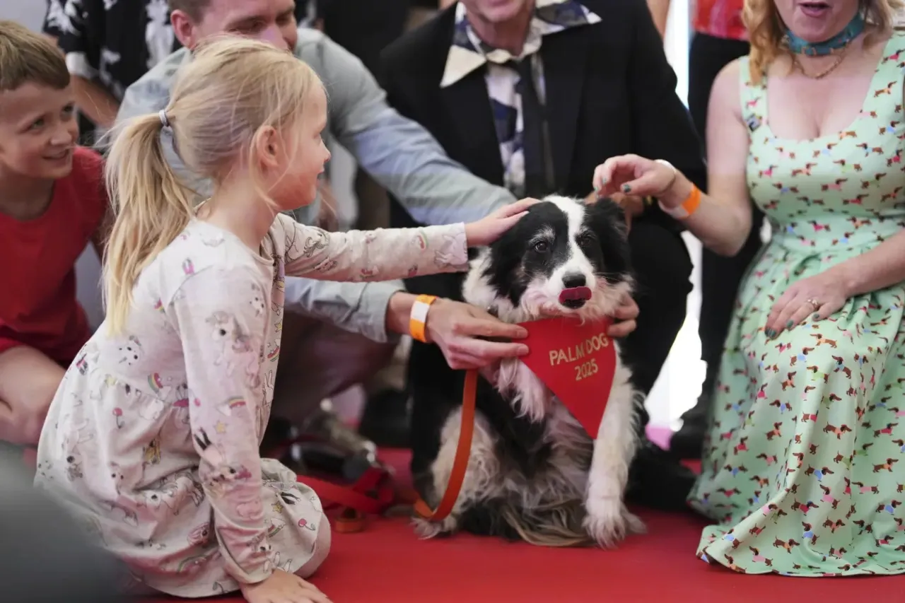Panda gana el premio Palm Dog 2025 en Cannes y un doble lo acepta