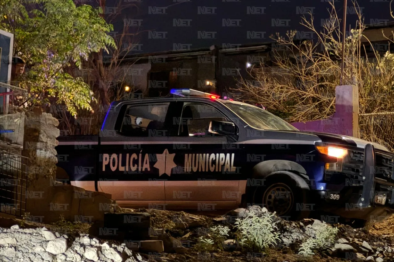 Jauría muerde a niño de 11 años