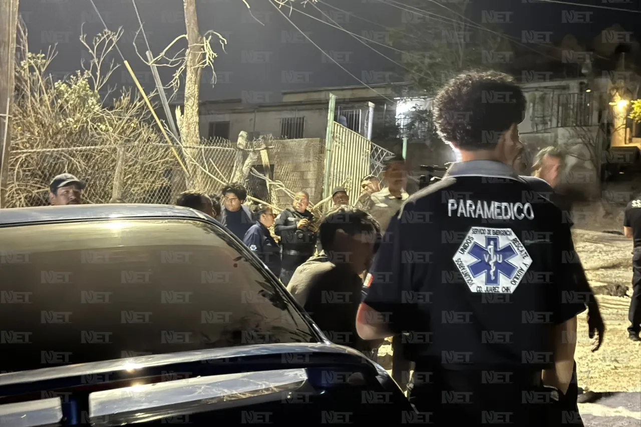 Jauría muerde a niño de 11 años