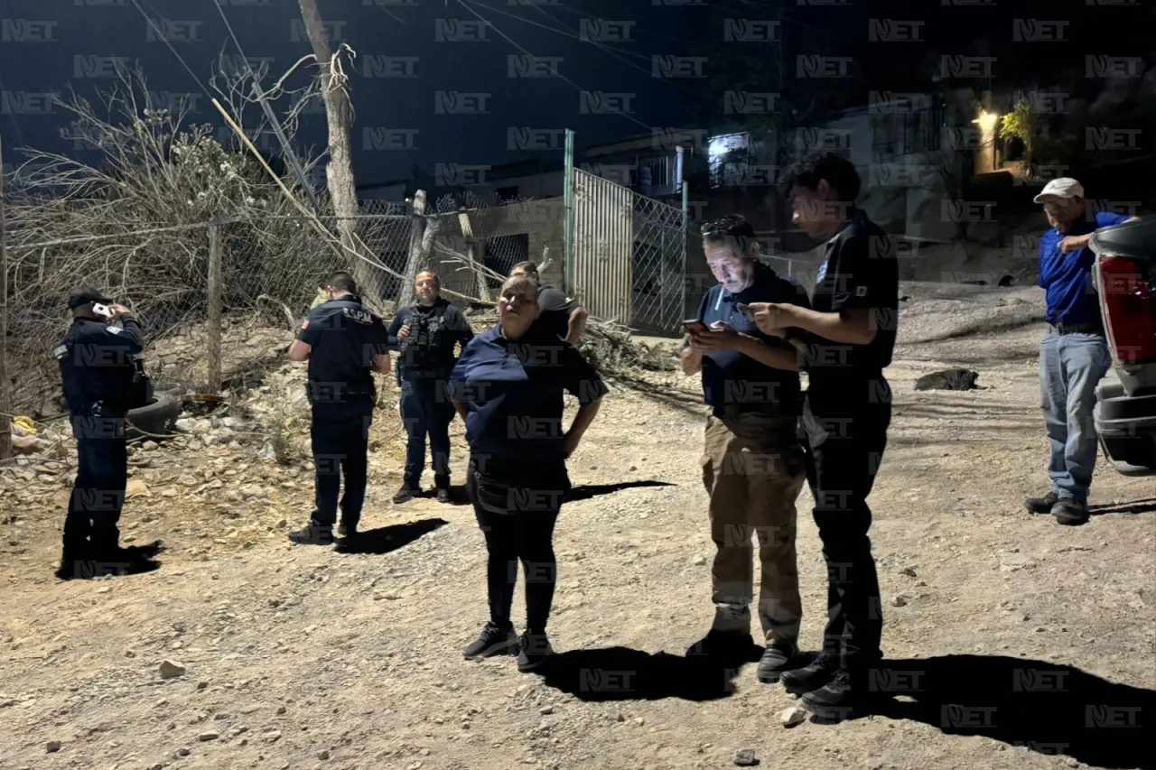 Jauría muerde a niño de 11 años