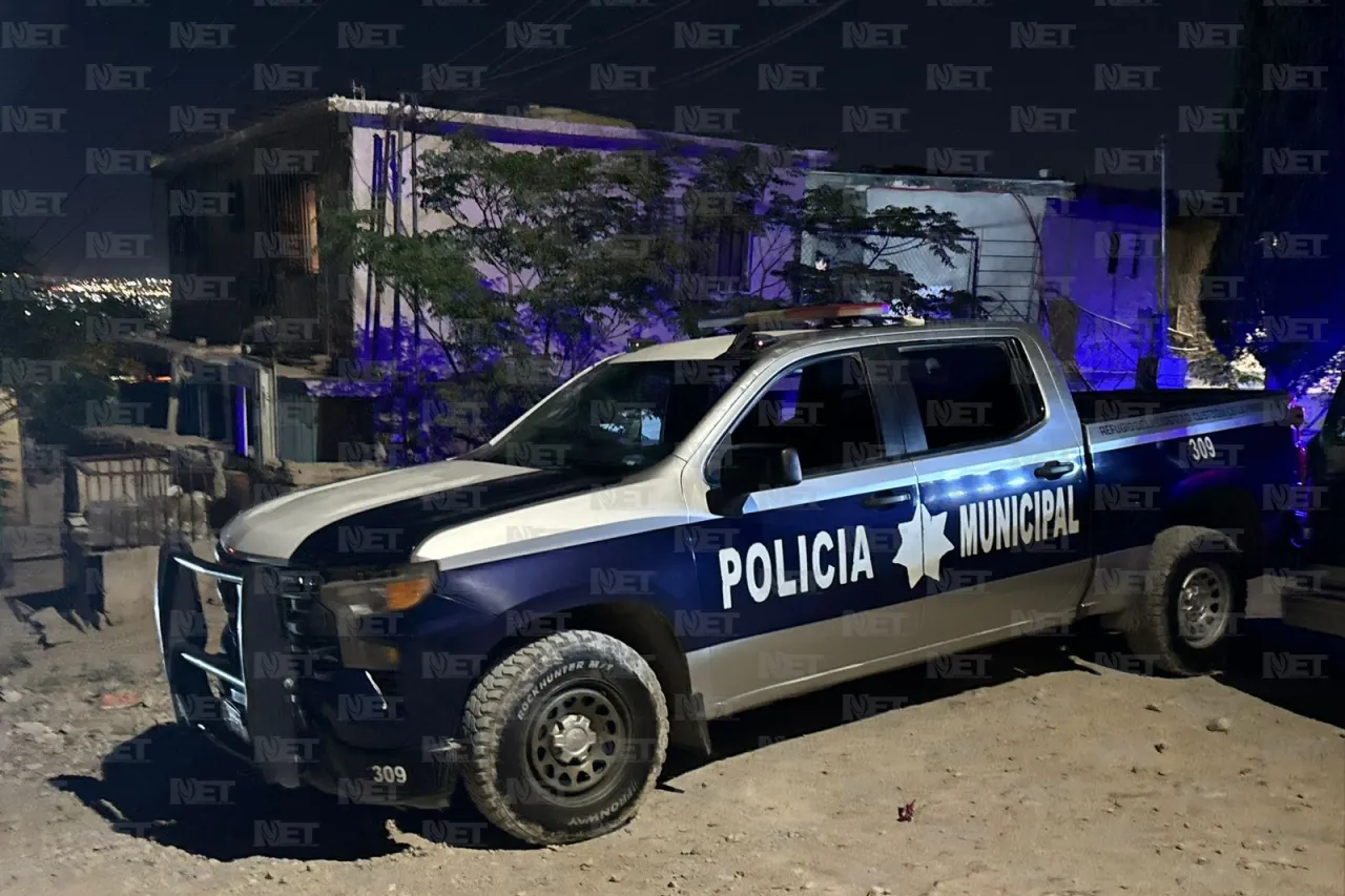 Jauría muerde a niño de 11 años