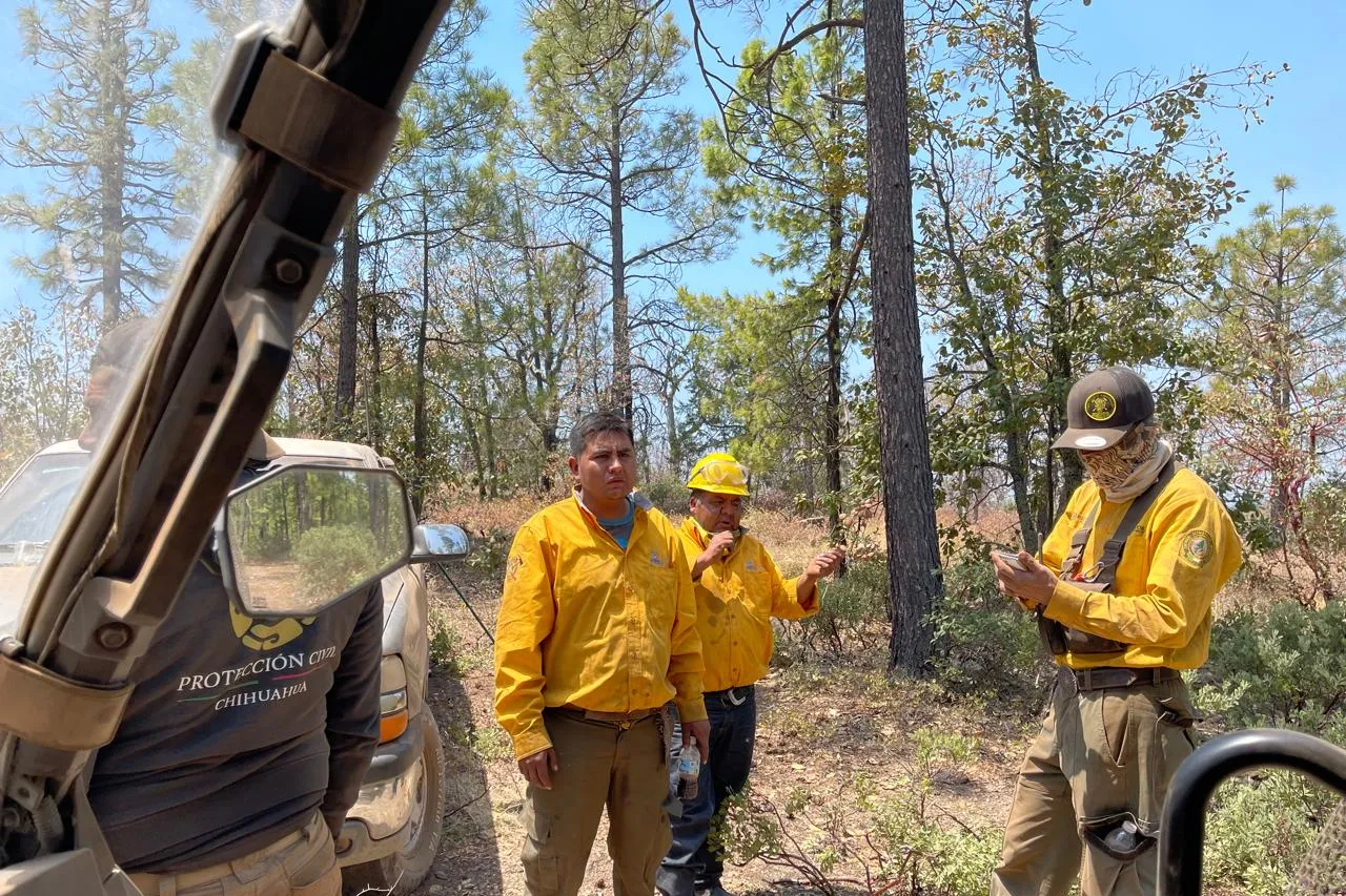 Llega 2do contingente para combatir incendios en Madera y NCG