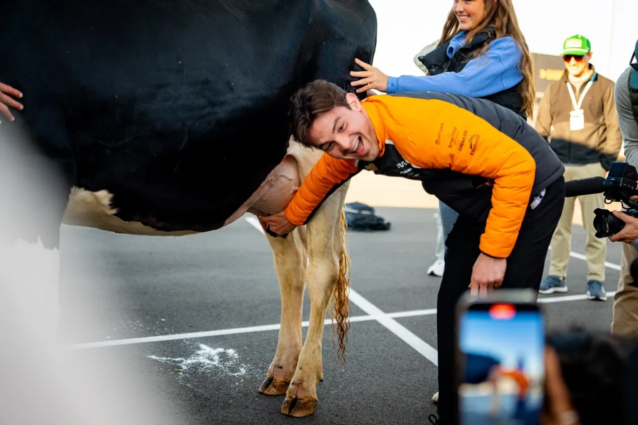 Pato O'Ward ordeña una vaca antes de las Indy 500
