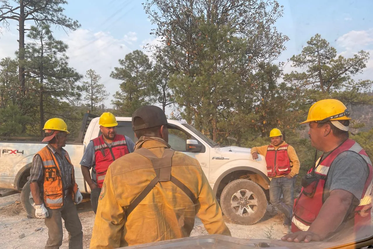 Llega 2do contingente para combatir incendios en Madera y NCG