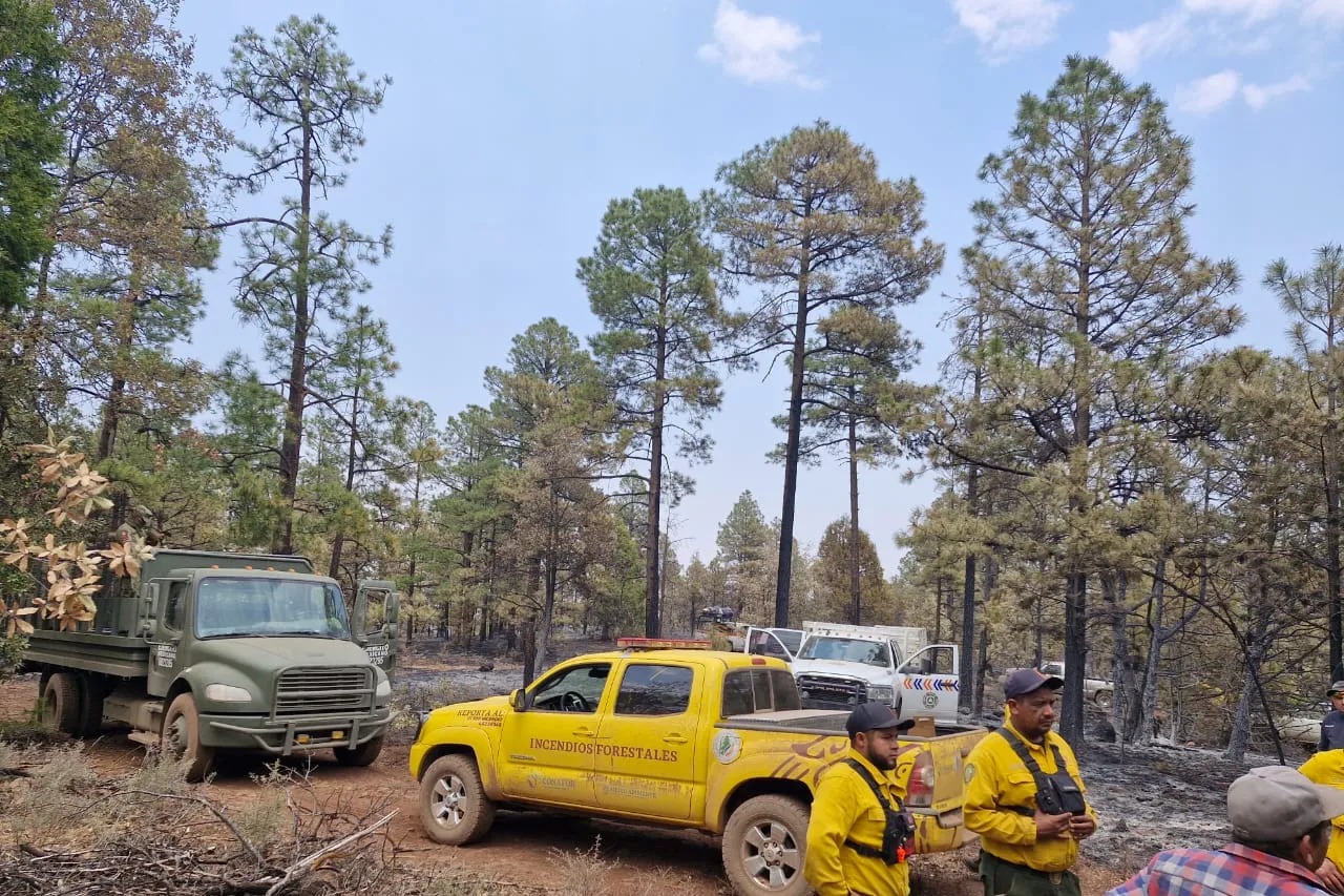 Llega 2do contingente para combatir incendios en Madera y NCG