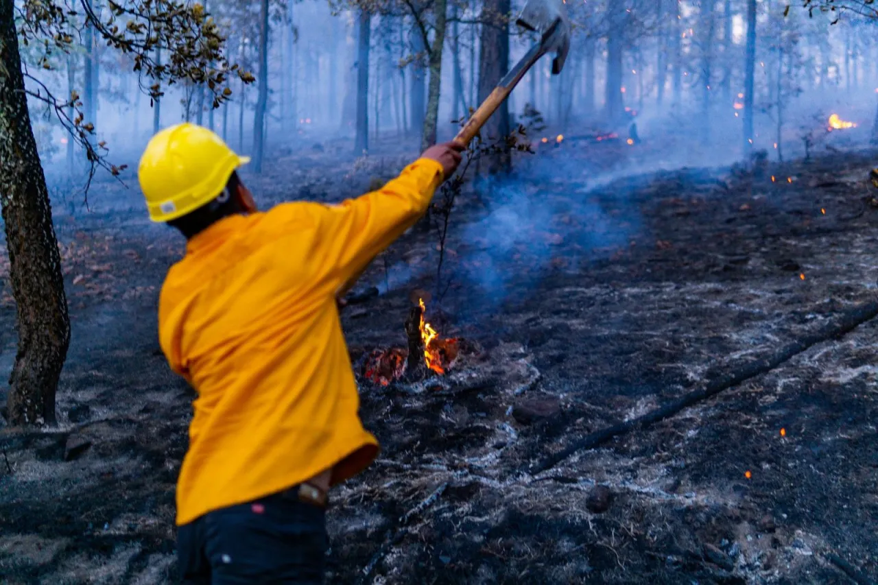 Afectan incendios 61 mil hectáreas en la Sierra Tarahumara