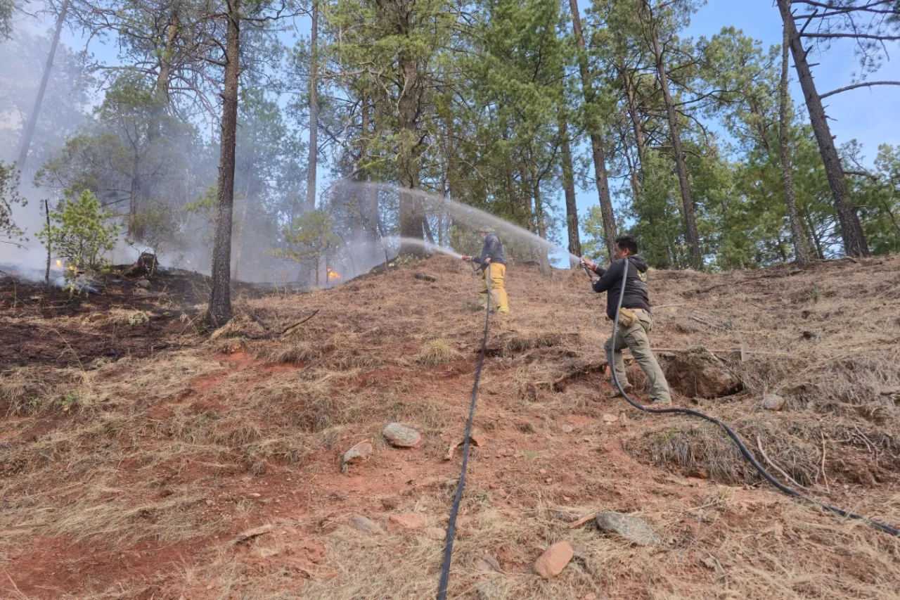 Afectan incendios 61 mil hectáreas en la Sierra Tarahumara