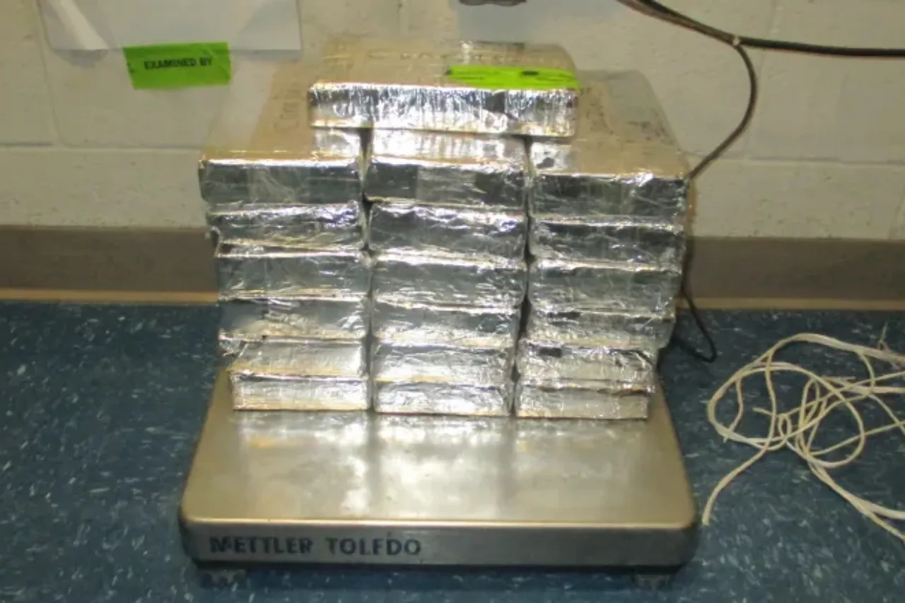 Sorprenden a jovencita de 20 años intentando cruzar más de 20 kg de droga a EP