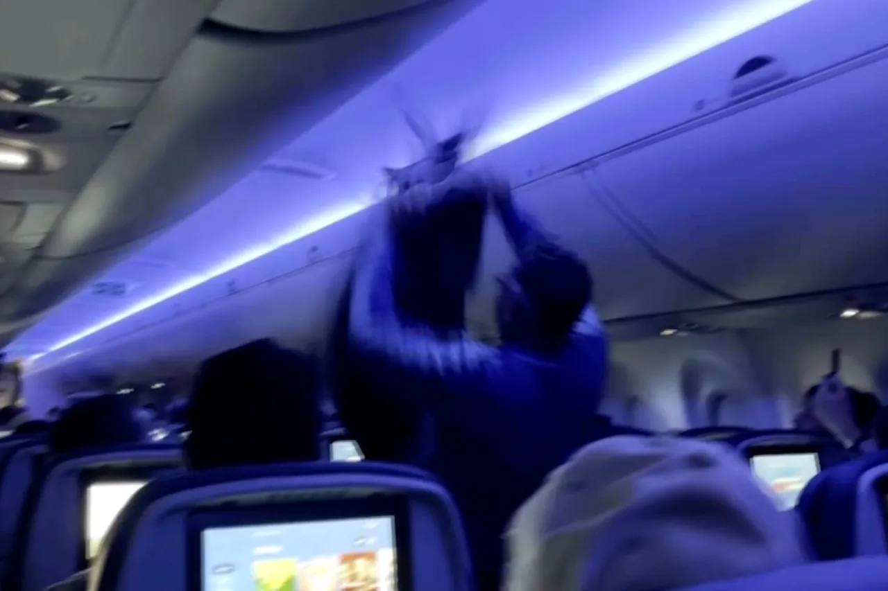 Se retrasa vuelo porque dos palomas se colaron en un avión