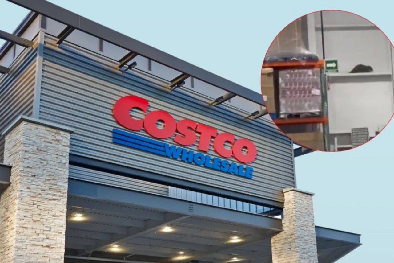 Video: Captan a rata gigante en Costco