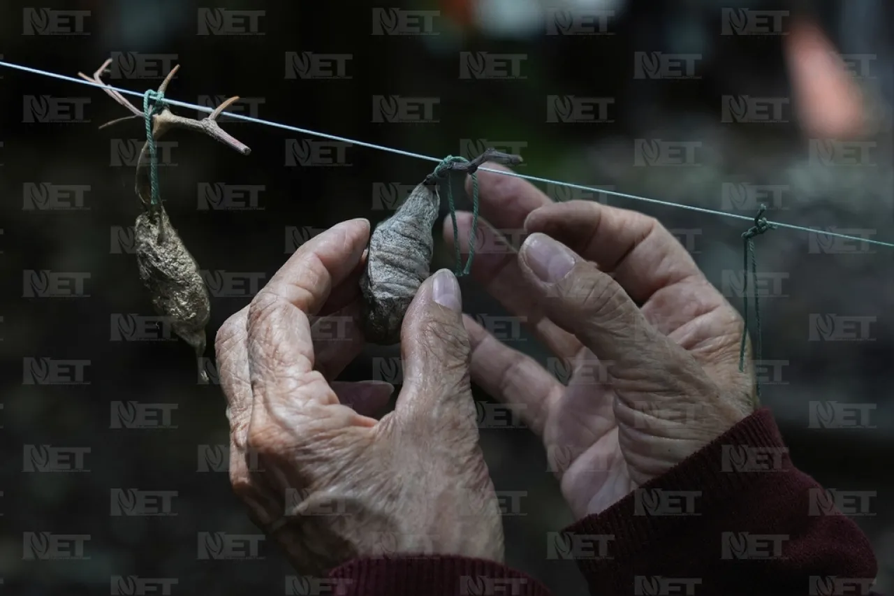 Associated Press