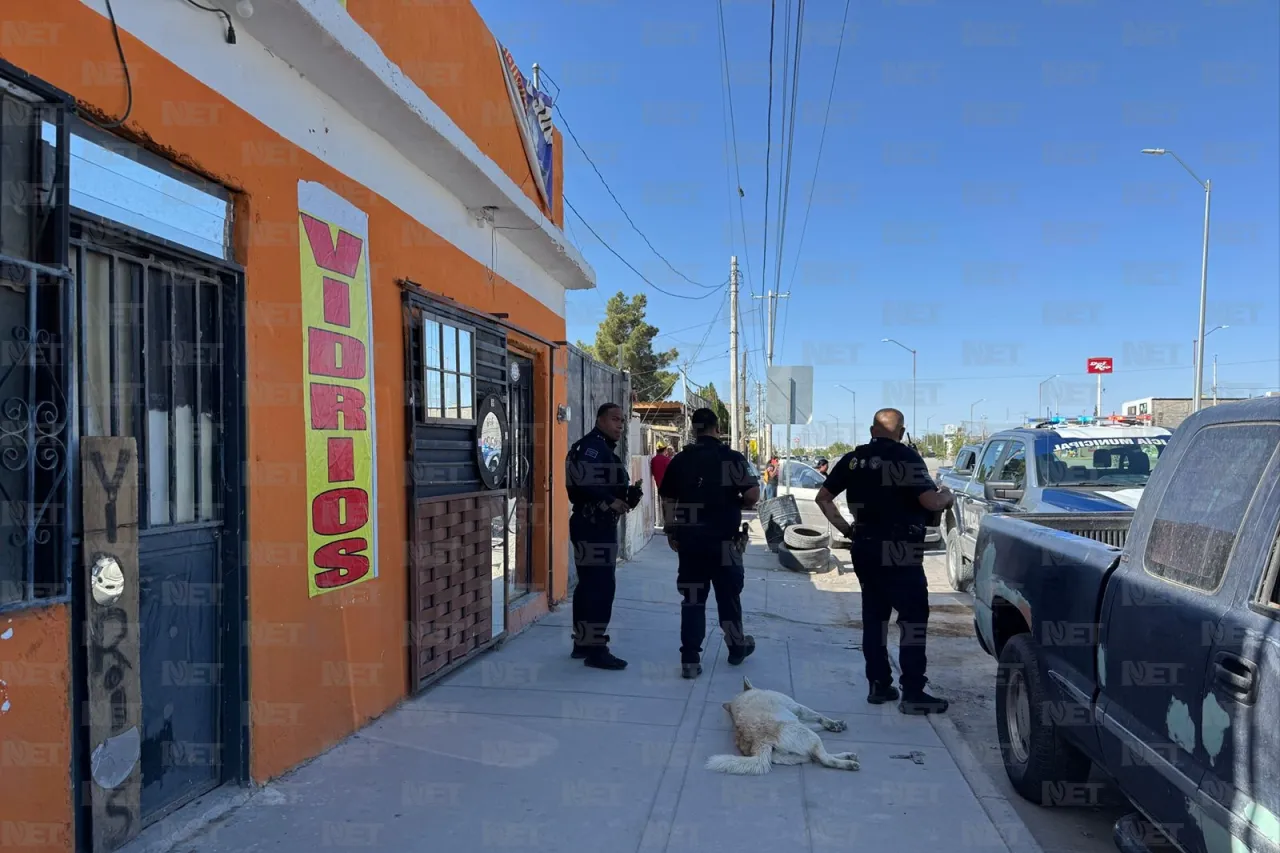 Asesinan a cuchilladas a don 'Hércules' dentro de su vidriería