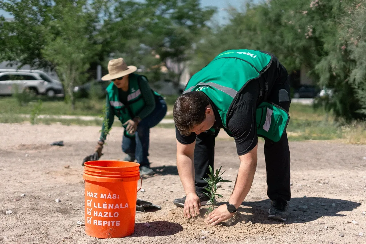 Planta Alex Pérez Escalante más de 500 árboles en mayo