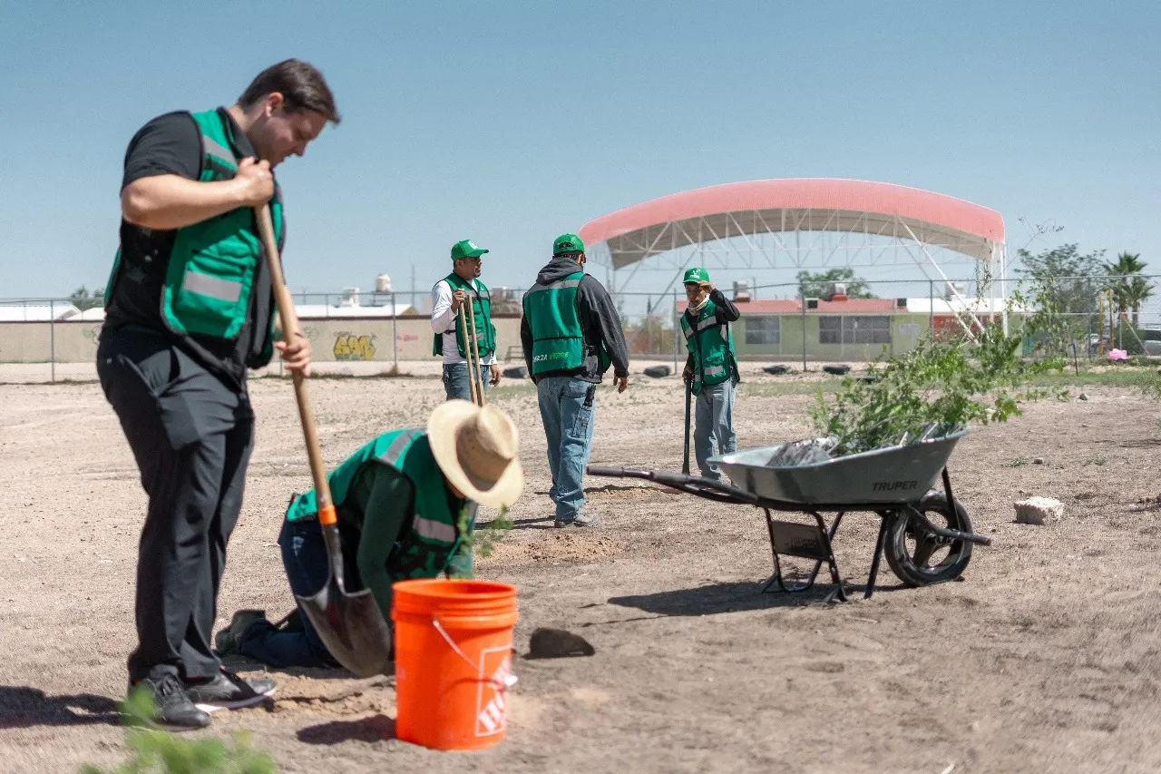 Planta Alex Pérez Escalante más de 500 árboles en mayo