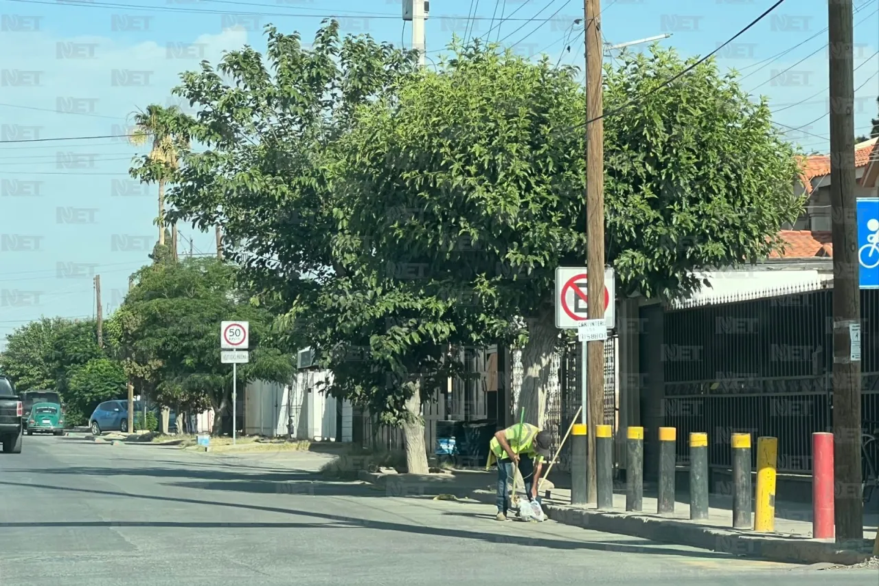 El árbol: arma secreta contra el calor de Juárez