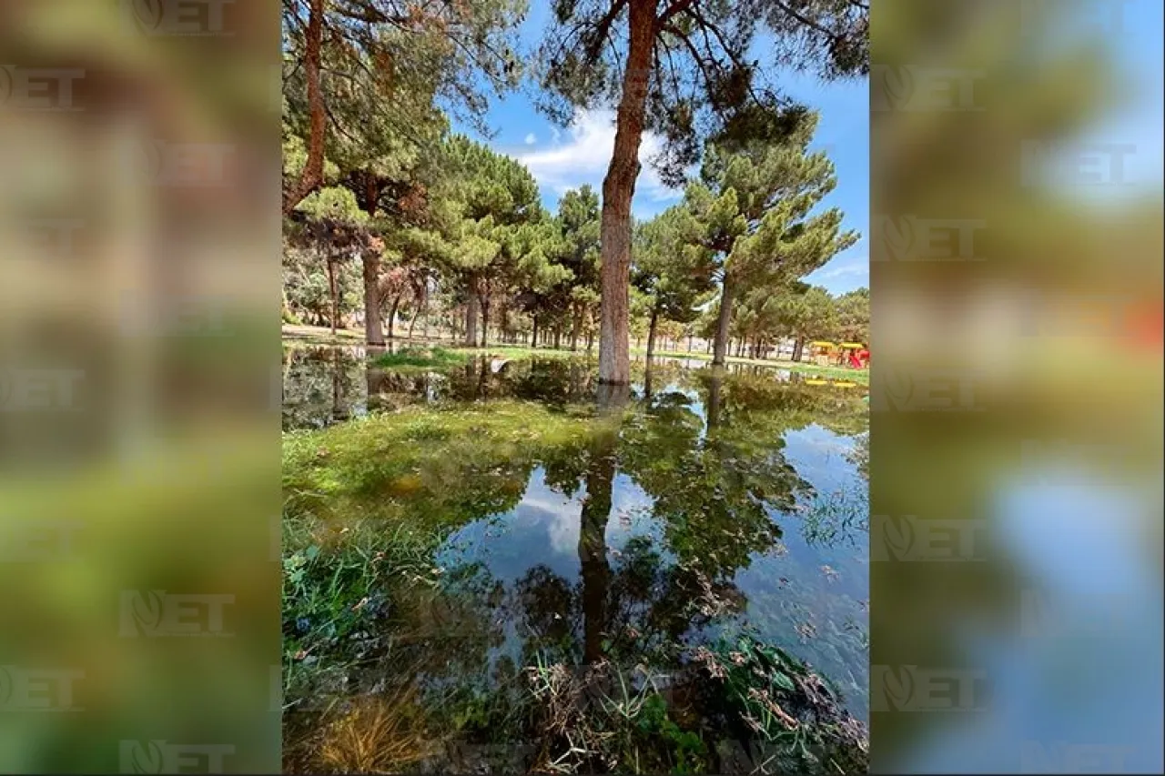 Celebra el día de Día del Medio Ambiente en el museo