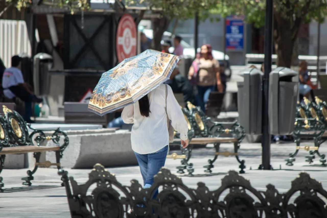 Sigue estas recomendaciones ante onda de calor