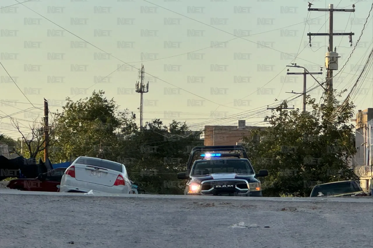 Perros devorando cabeza causan alerta en la México 68