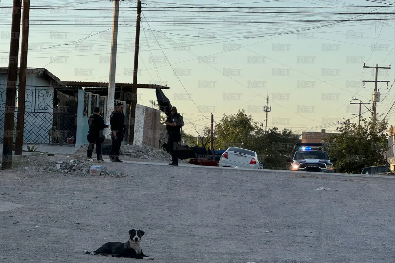 Perros devorando cabeza causan alerta en la México 68