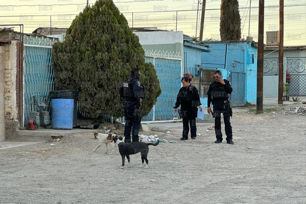 Perros devorando cabeza causan alerta en la México 68