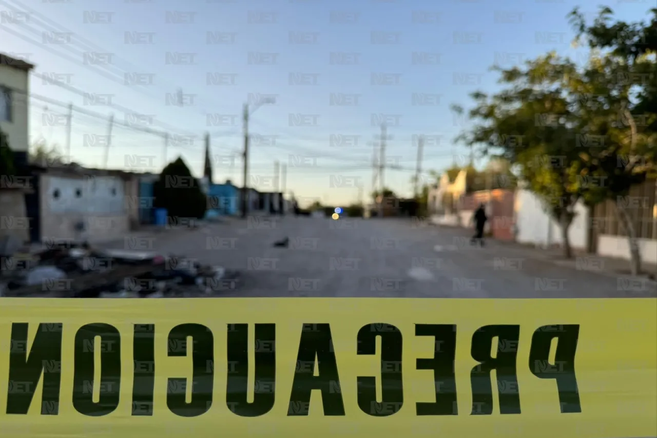 Perros devorando cabeza causan alerta en la México 68