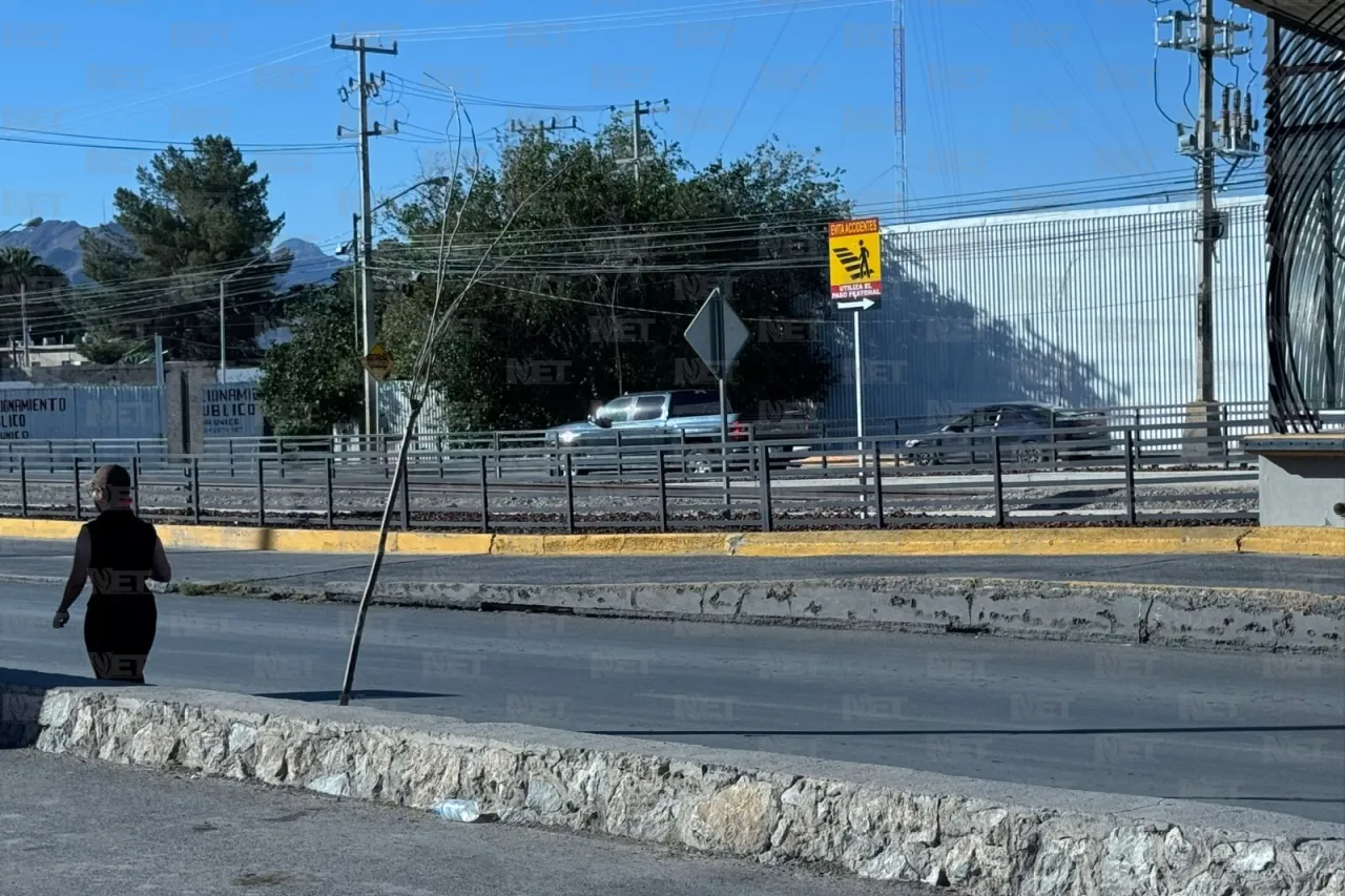 Municipio renueva camellón de Eje Vial