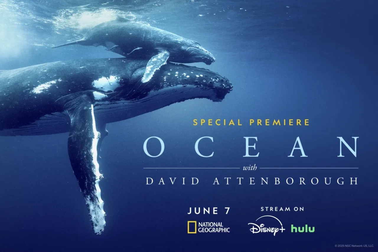 'Ocean' es una brutal y hermosa llamada de atención desde el mar