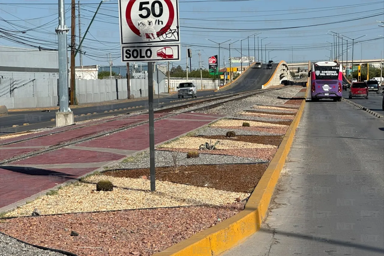 Municipio renueva camellón de Eje Vial