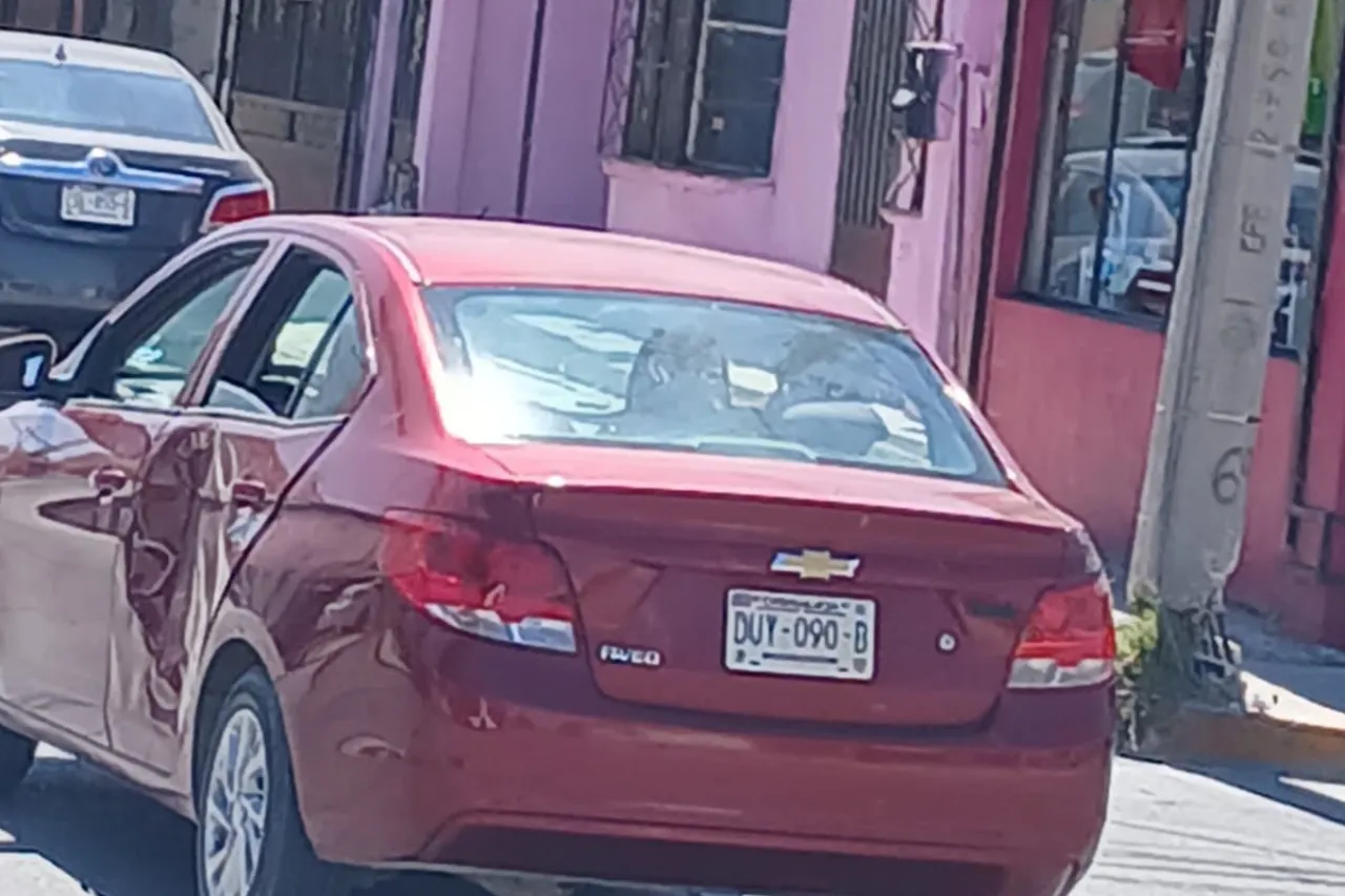 Choca a Juárez Bus y se da a la fuga