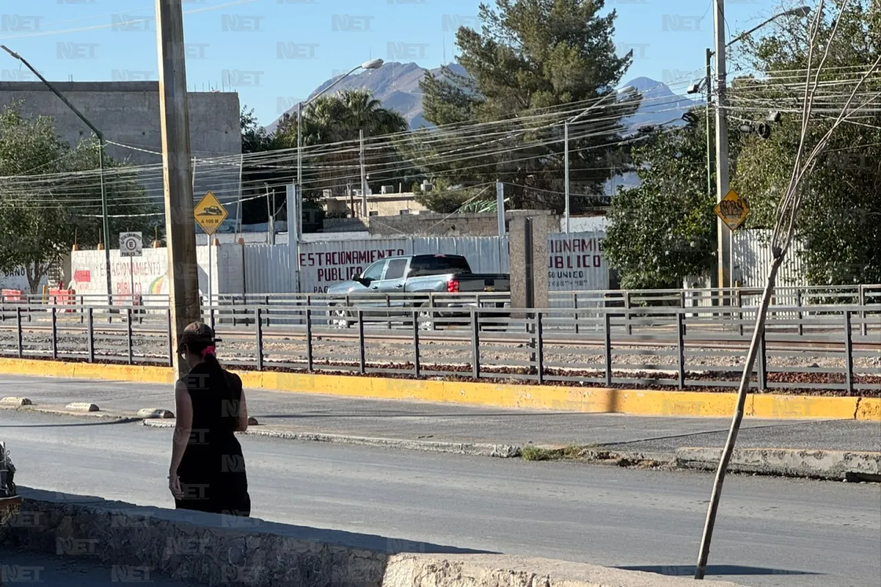Municipio renueva camellón de Eje Vial