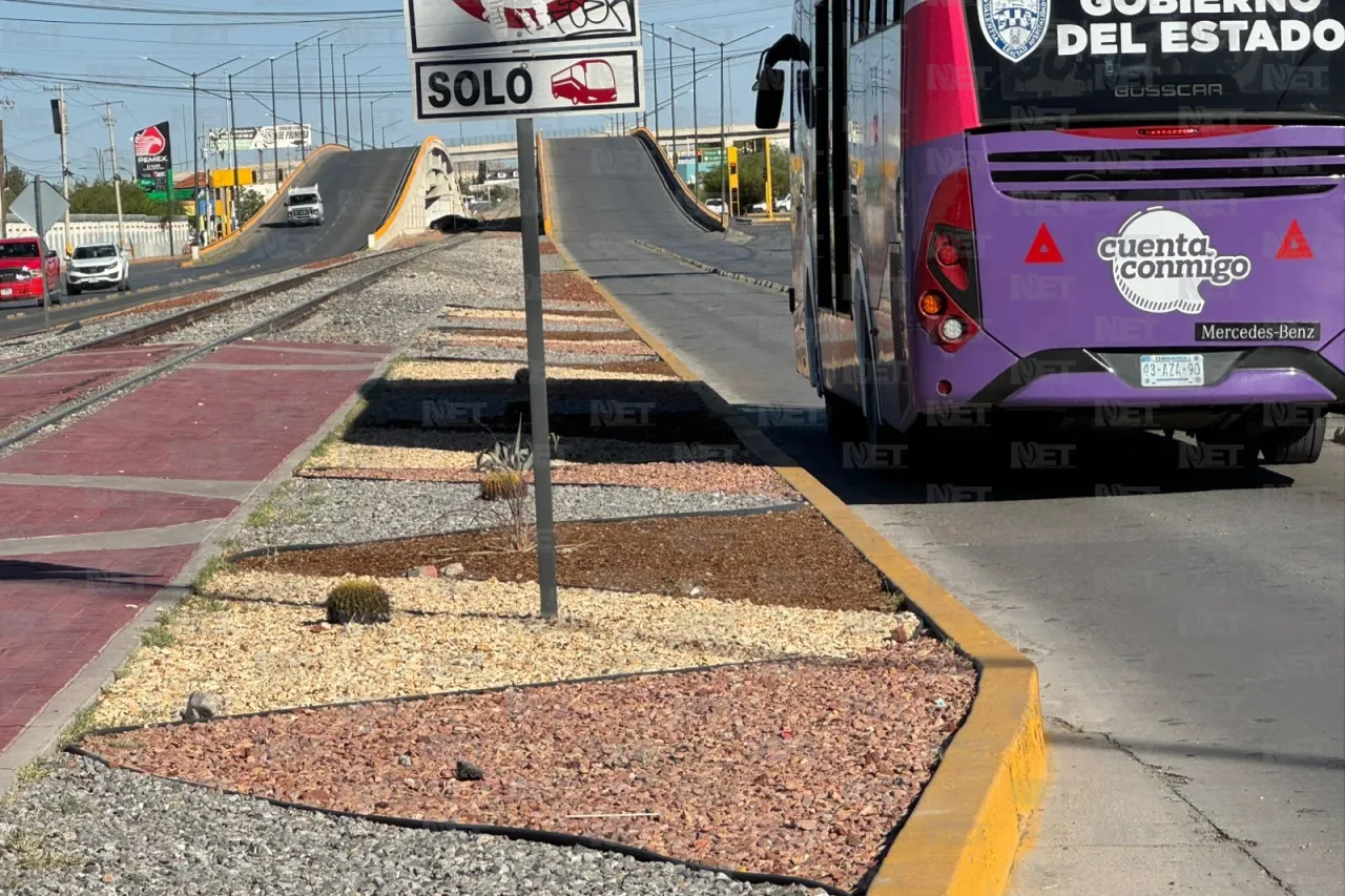 Municipio renueva camellón de Eje Vial