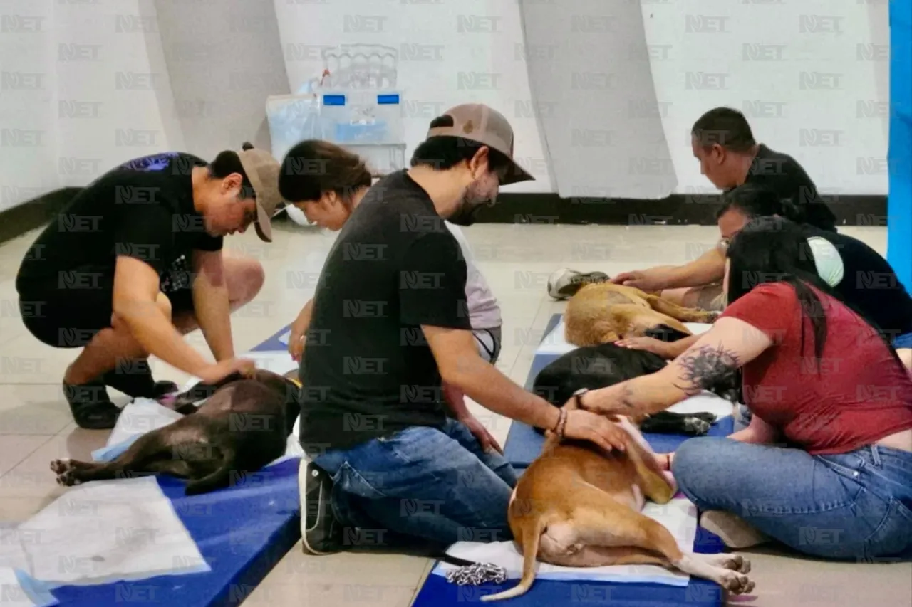 Ya comenzó el segundo día de Expo Pets Jrz