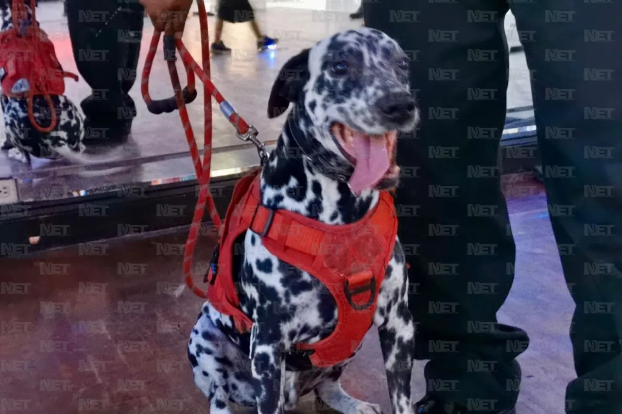 Ya comenzó el segundo día de Expo Pets Jrz