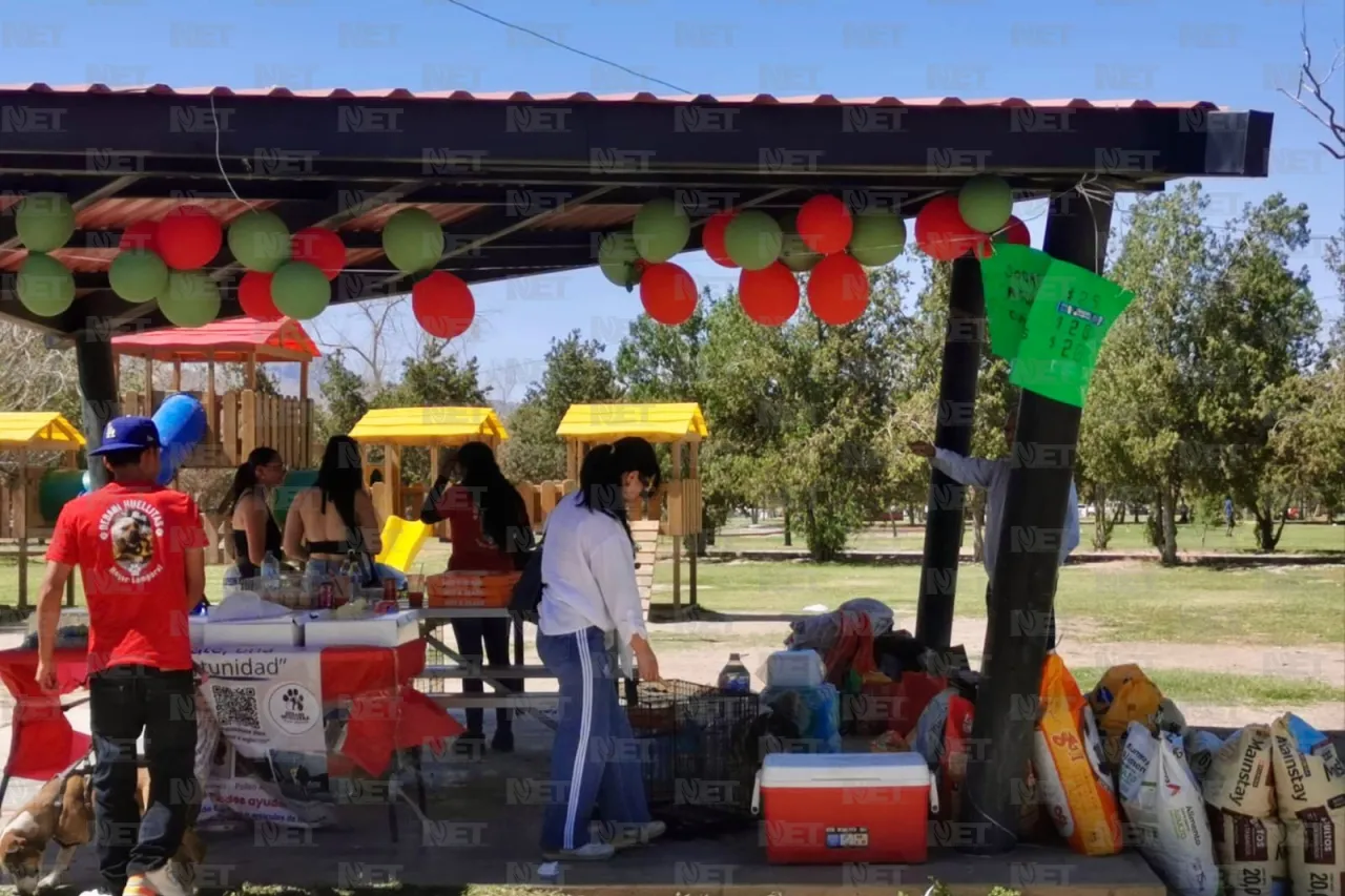 Rescatista independiente pide que no la dejen sola este domingo