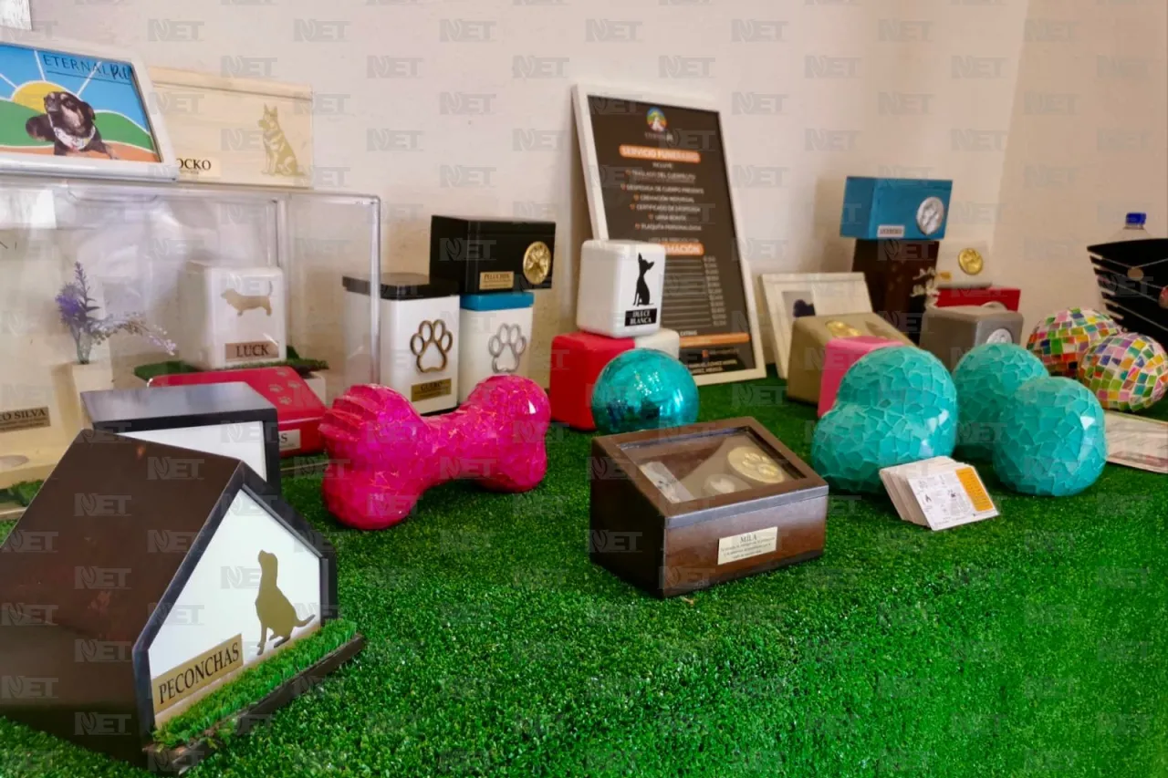 Ya comenzó el segundo día de Expo Pets Jrz