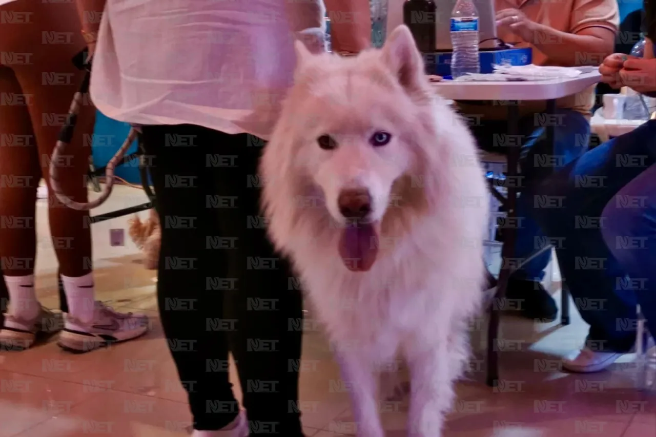 Ya comenzó el segundo día de Expo Pets Jrz