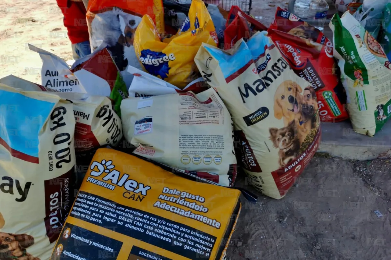 Rescatista independiente pide que no la dejen sola este domingo