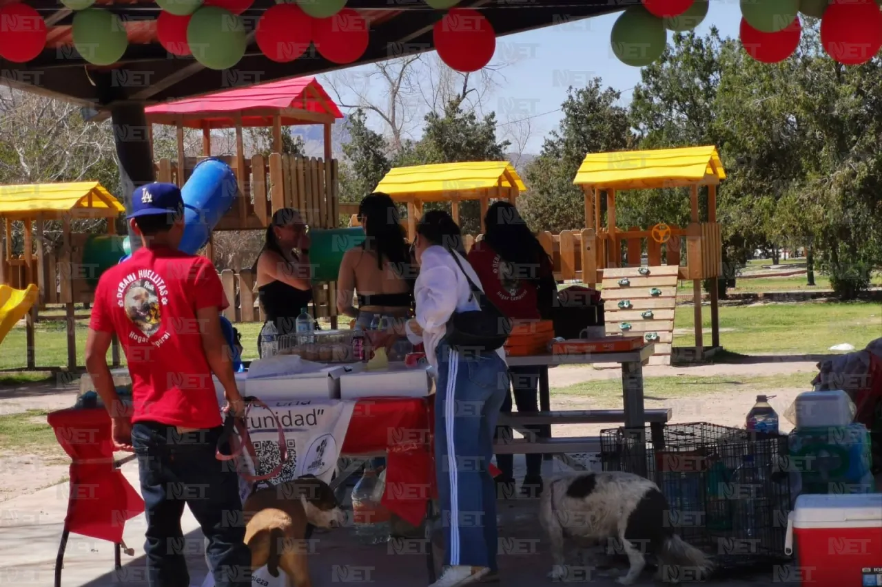 Rescatista independiente pide que no la dejen sola este domingo