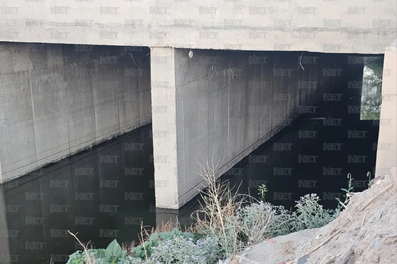 ¡Insoportable! Vecinos de San Carlos exigen acción por plaga de mosquitos