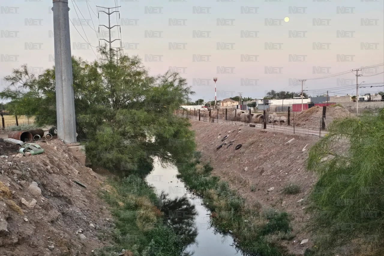 ¡Insoportable! Vecinos de San Carlos exigen acción por plaga de mosquitos